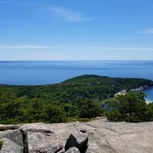 Meet your Posher, Whitney